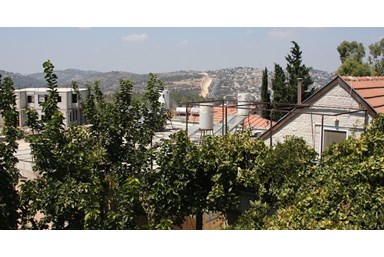 פלד -  בית של אמנות - החצר והנוף