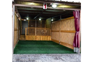 מלכת שבא תלמי בילו - הבריכה והמרפסת