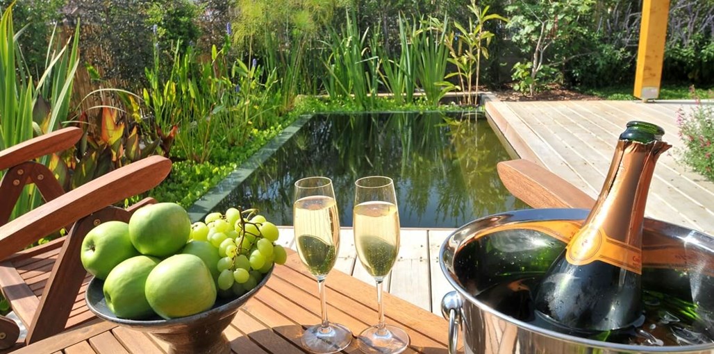 חד נס 229 חצר (1).jpg