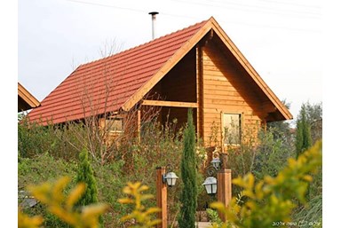 ניר בגליל - הבריכה והחצר