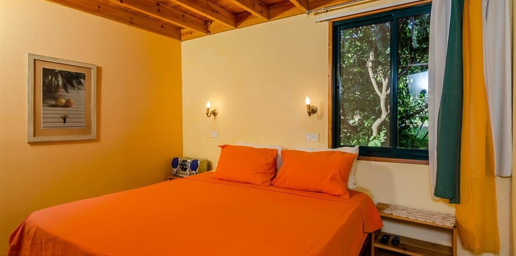 בפרדס תפוז (7).jpg