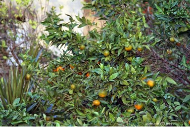 בקתות מול השקיעה - בריכת השחיה והנוף