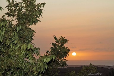 בקתות מול השקיעה - בריכת השחיה והנוף