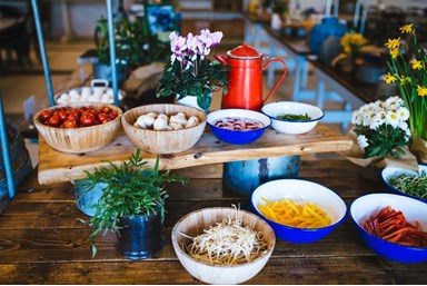 שניר אירוח בוטיק - חדרי הבוטיק