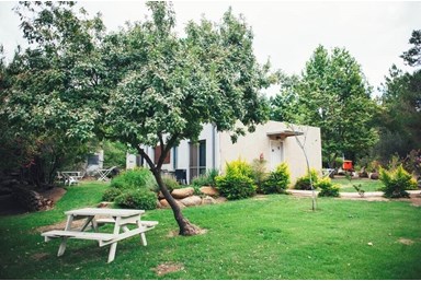 שניר אירוח בוטיק - הבריכה ומרחב האירוח