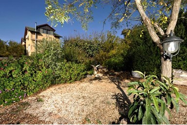 אחוזת שטרן - החצר והבריכה