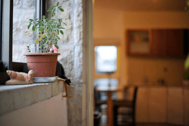 סוויטות נופש בנחלאות - דירת גג