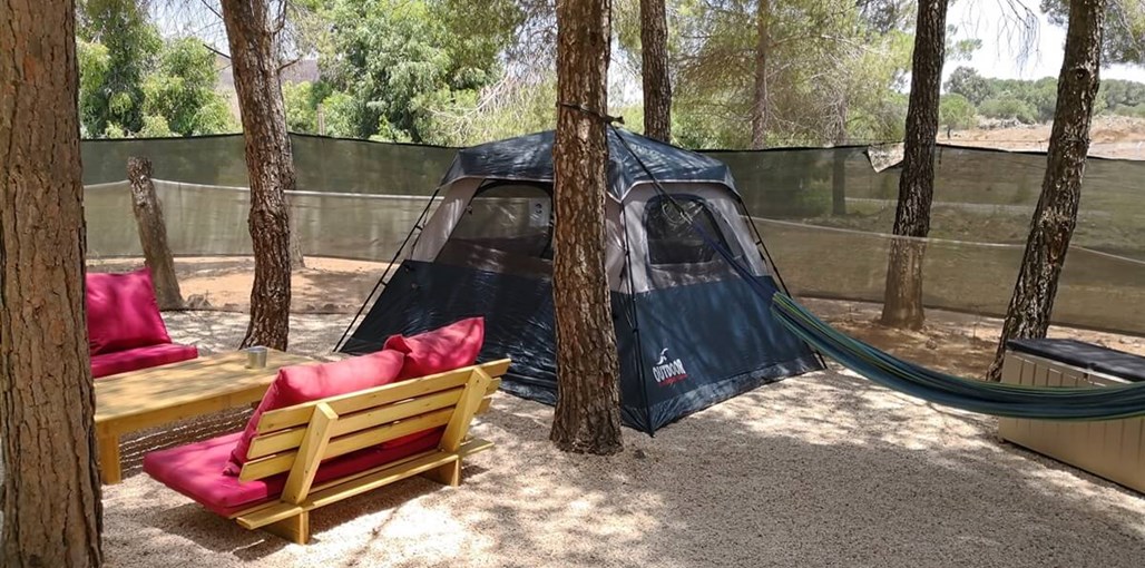 אינדיאני ג'ונס הקה עצמית (4).jpg