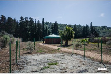 בצל הפסיפלורה - חצר המתחם