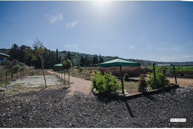 בצל הפסיפלורה - בקתות הרועים/חושות