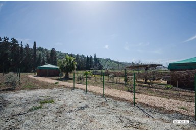 בצל הפסיפלורה - בקתות הרועים/חושות