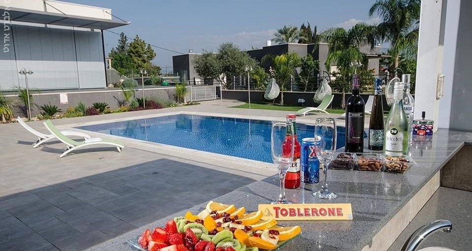 שירת הכנרת 216 (Big).jpg