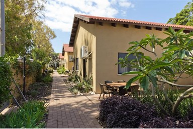 דולפין וילג' - החצר