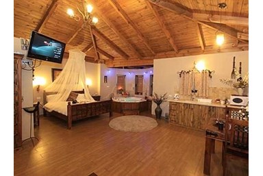 בצל הדקלים - החצר והבריכה