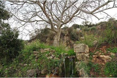 צימר מעל המעיין - הנופים והסביבה