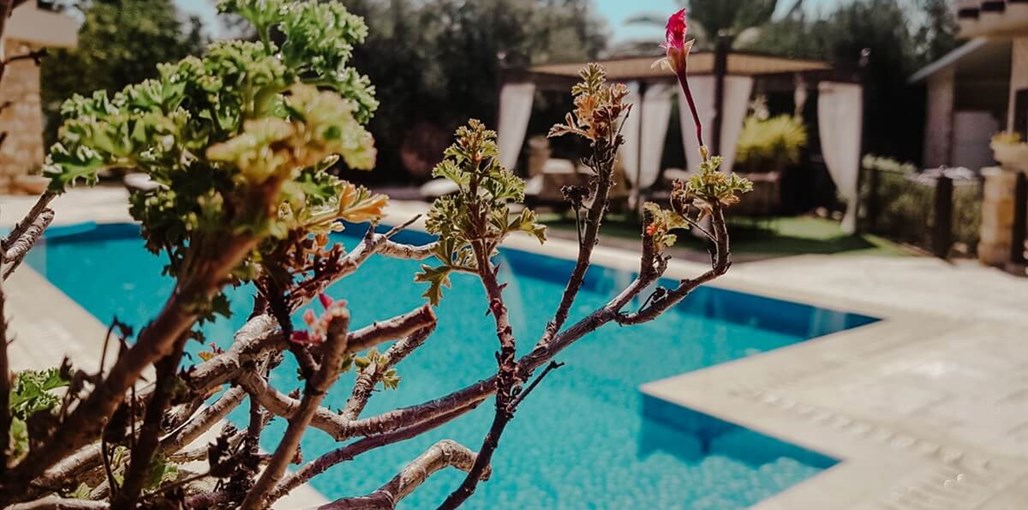 חלום בכנרת כללי (10).JPG