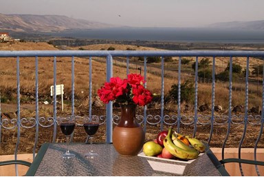 בקתות ארץ כנרת - סוויטת ענבלים 