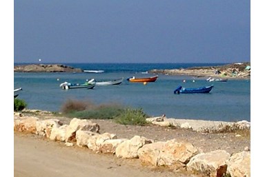 רחש הגלים - צימר ליד הים - חוף דור