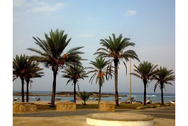 רחש הגלים - צימר ליד הים - בקתות העץ