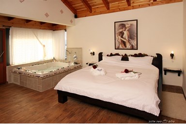 סוויטות המלך שאול - הסוויטות