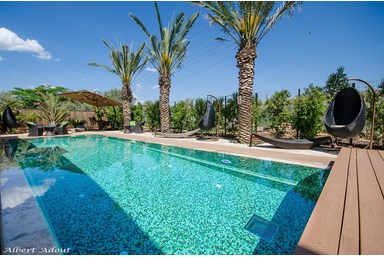 טיטי - סוויטות ראש פינה - החצר והבריכה