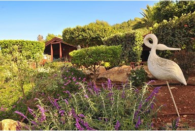 בקתות תכלת וארגמן