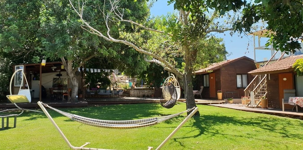 בקתות גב ההר חצר גב ההר (4).jpg