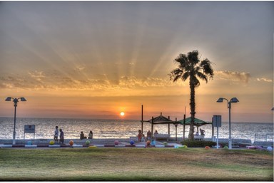 תמר על הים - לופט עומרי