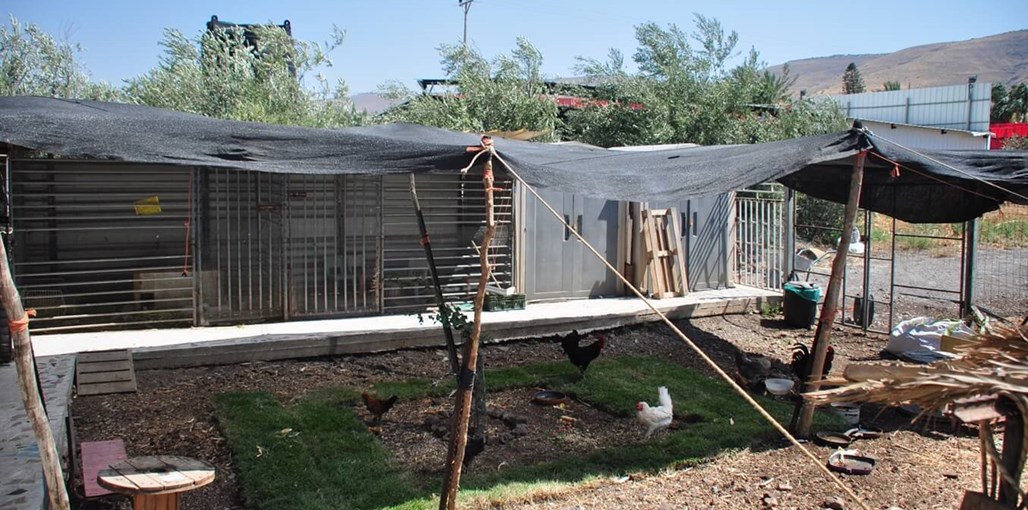 צימרונית פנת חי (14).jpg