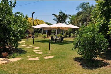 הבקתה הגלילית  - בקתות עץ