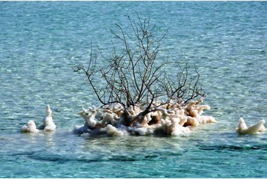 אצלנו בחצר - נאות הכיכר