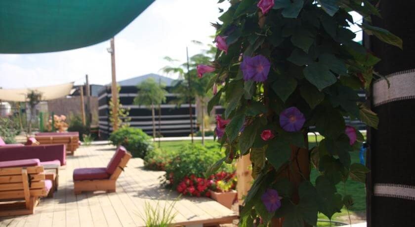 חאן מורגן - אירוח וחקלאות במדבר מתחם החאן (14).jpg