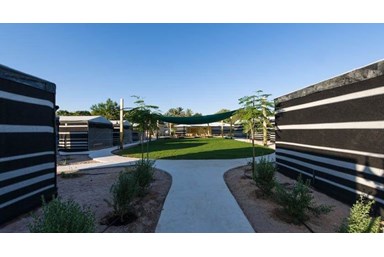 חאן מורגן - אירוח וחקלאות במדבר - טיולים ופעילויות באזור