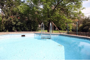 בשן בגולן - החצר והבריכה