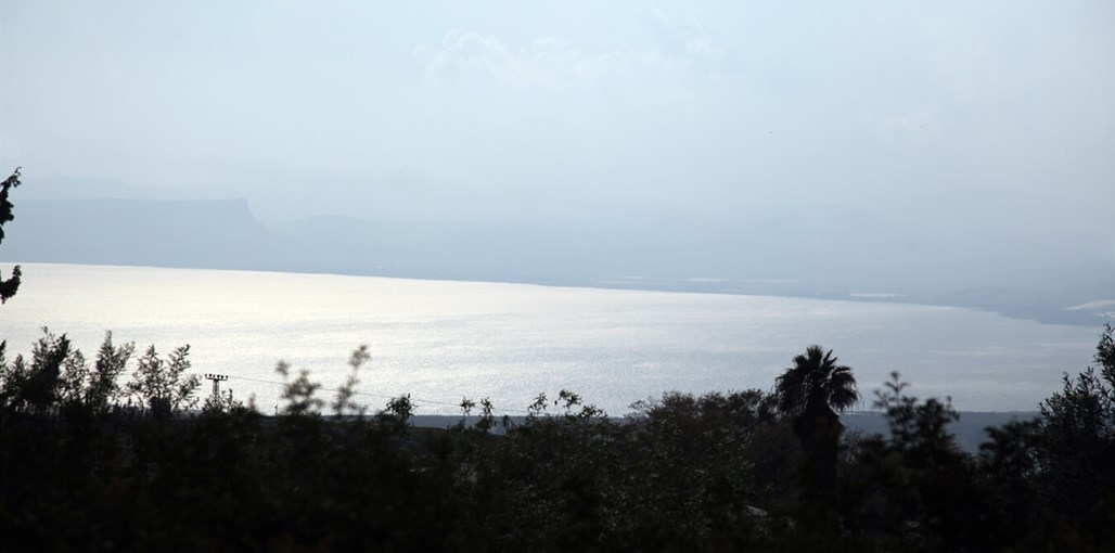 בשן בגולן חצר ובריכה (8).jpg