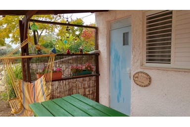 איילה בגלבוע