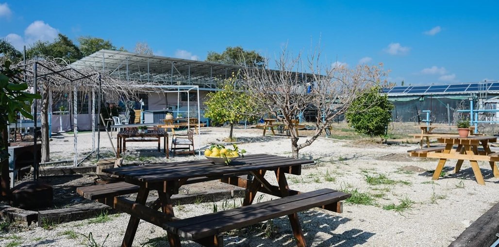 חאן בשביל היער חצר ומשותף (22).jpg