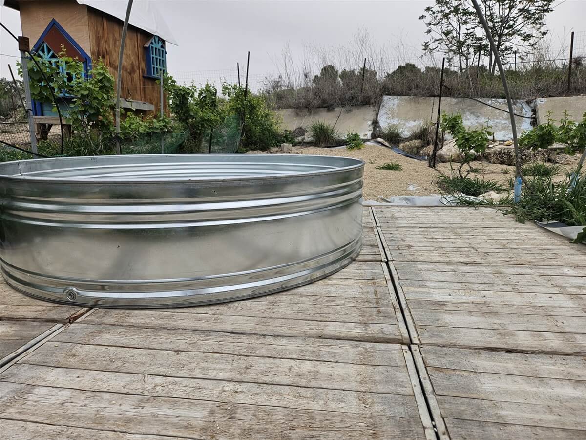 חאן בשביל היער 