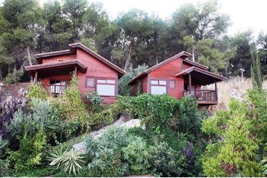 בקתות לב כנרת - בקתות העץ