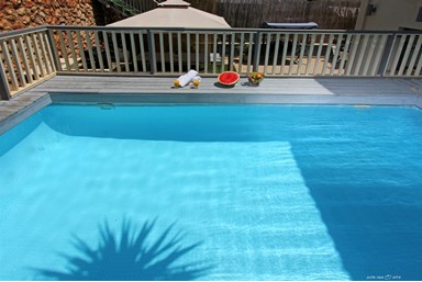 שיר בנוף - החצר, הבריכה והנוף