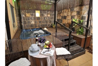 אהבה ולימונים - צימר 1