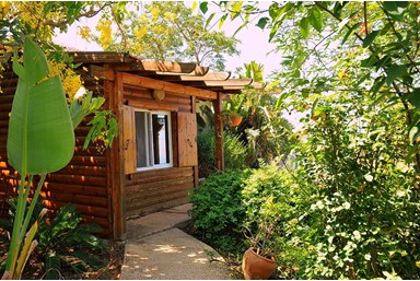 קסם על ים כנרת