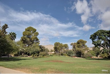 אירוח כפרי עמיעד - הקיבוץ וסביבתו