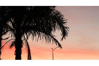 דזרט בי - DesertB - הבריכה והסביבה