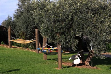 פינה בסג'רה - בקתות העץ