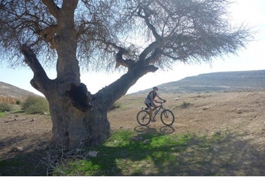 צימר זמן מדבר - טיולי אופניים