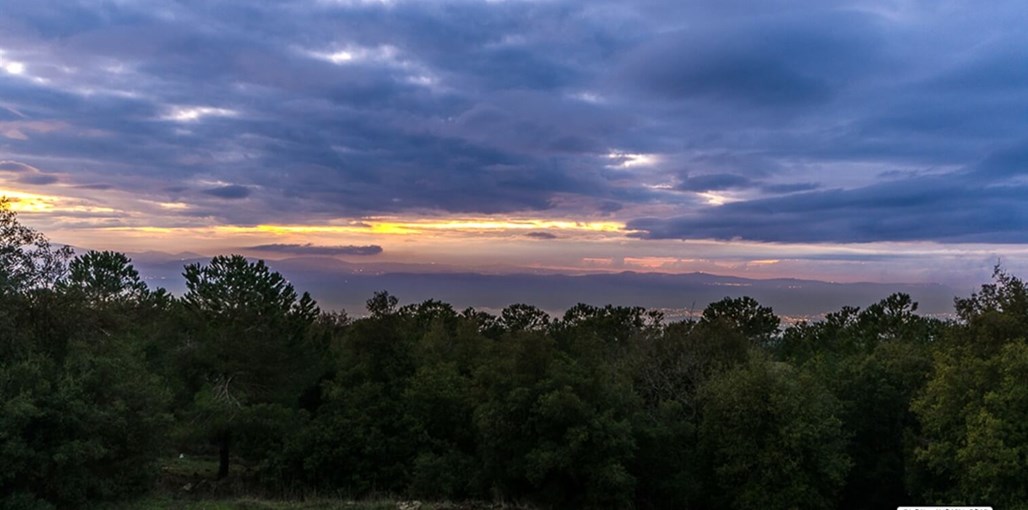 בקתות גלעד יחידה שמאלית (5).jpg