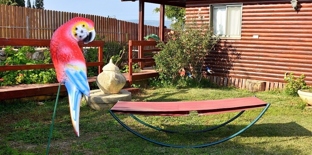 הבקתות של מלכה חצר ובריכה (3).JPG