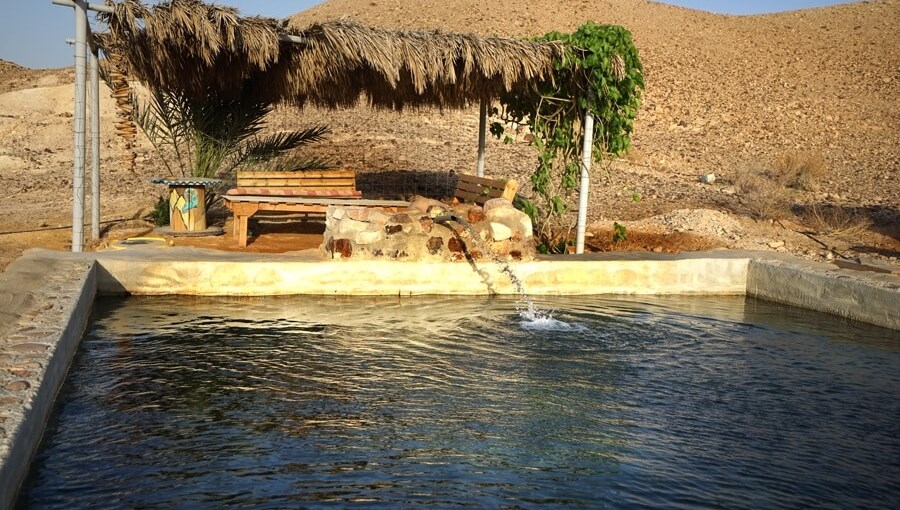 חאן תמרים בצוקים בריכה חדש (4).jpg