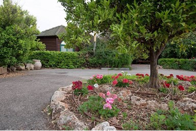 ניחוח גן עדן - מתחם חדרי אירוח